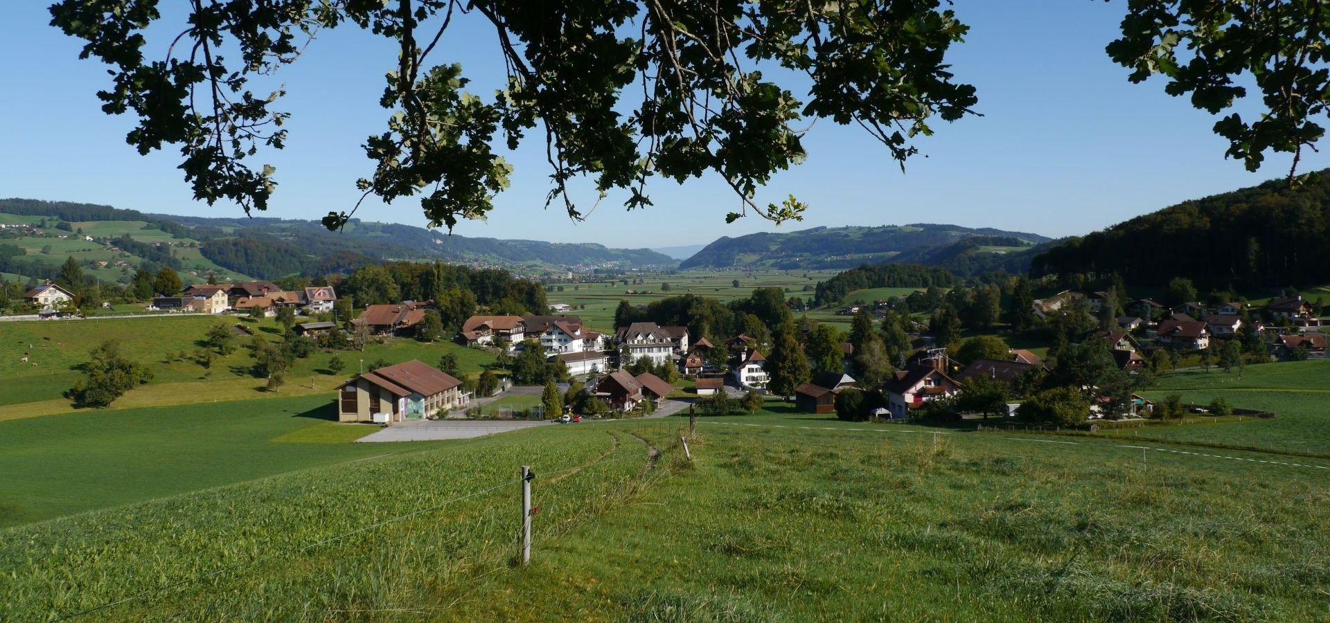 Headerbild
