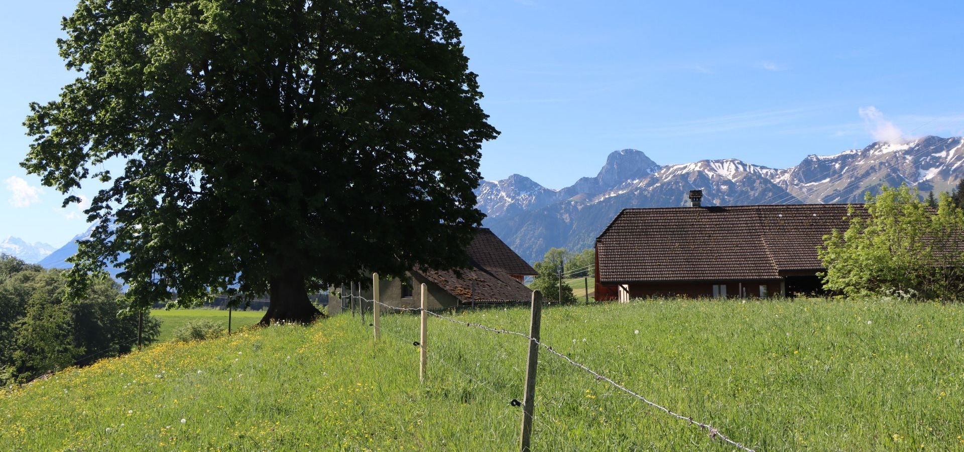 Headerbild