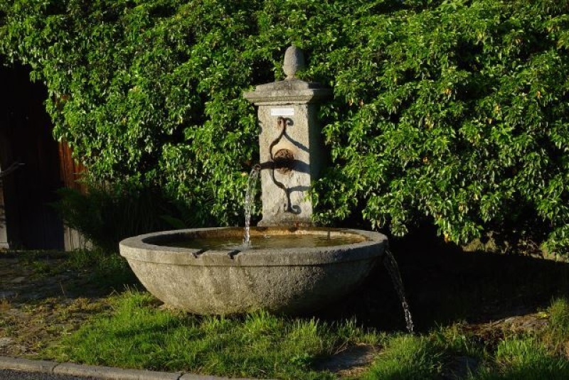 Natur + Geschichte